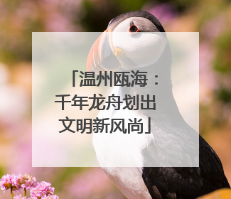 温州瓯海：千年龙舟划出文明新风尚